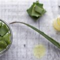 Do czego można stosować aloes w codziennym życiu?