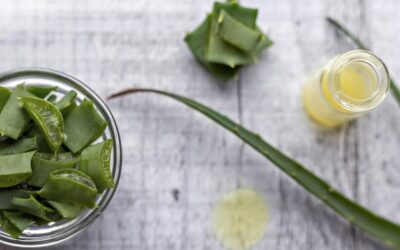 Do czego można stosować aloes w codziennym życiu?