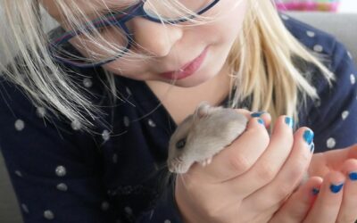 Jak Carmex podchodzi do testów na zwierzętach?