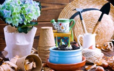 Jakie pamiątki z ziemi świętej warto przywieźć do domu?